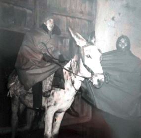 Lee más sobre el artículo LA RUTA DEL QUIJOTE EN BURRO