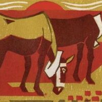 MULAS Y CABALLOS EN HERENCIA