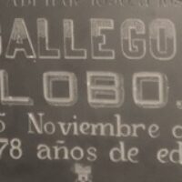 MARÍA INÉS GALLEGO GÓMEZ-LOBO