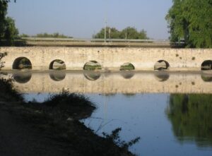 Lee más sobre el artículo EL PUENTE ROMANO DE VILLARTA DE SAN JUAN