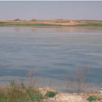 LAGUNA DEL PRADO DE POZUELO DE CALATRAVA