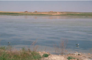 Lee más sobre el artículo LAGUNA DEL PRADO DE POZUELO DE CALATRAVA