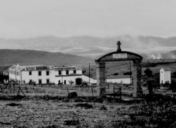 En este momento estás viendo LA FINCA EL BONAL EN PUERTOLLANO