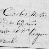 CARLOS MESTRE PORCAR