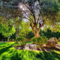 PARQUE MUNICIPAL DE HERENCIA