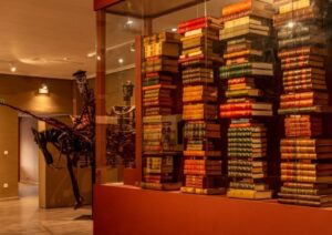 Lee más sobre el artículo COLECCIÓN CERVANTINA ZUNZUNEGUI DE PEDRO MUÑOZ