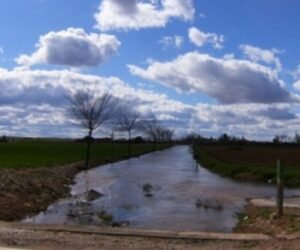 Lee más sobre el artículo RÍO AZUER