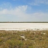 LAGUNA DE ALCAHOZO DE PEDRO MUÑOZ
