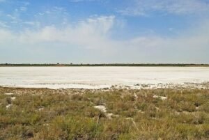 Lee más sobre el artículo LAGUNA DE ALCAHOZO DE PEDRO MUÑOZ