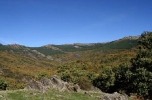 Lee más sobre el artículo SIERRA DE PICÓN