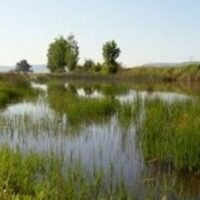 LA JUNTA DE LOS RÍOS EN EL ROBLEDO