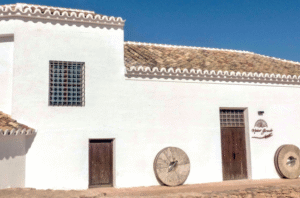 Lee más sobre el artículo MOLINO GRANDE EN MANZANARES